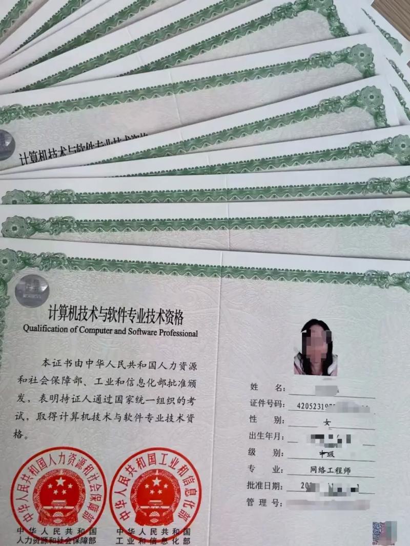 《计算机技术与软件专业技术资格》 vip通道申报网络工程师